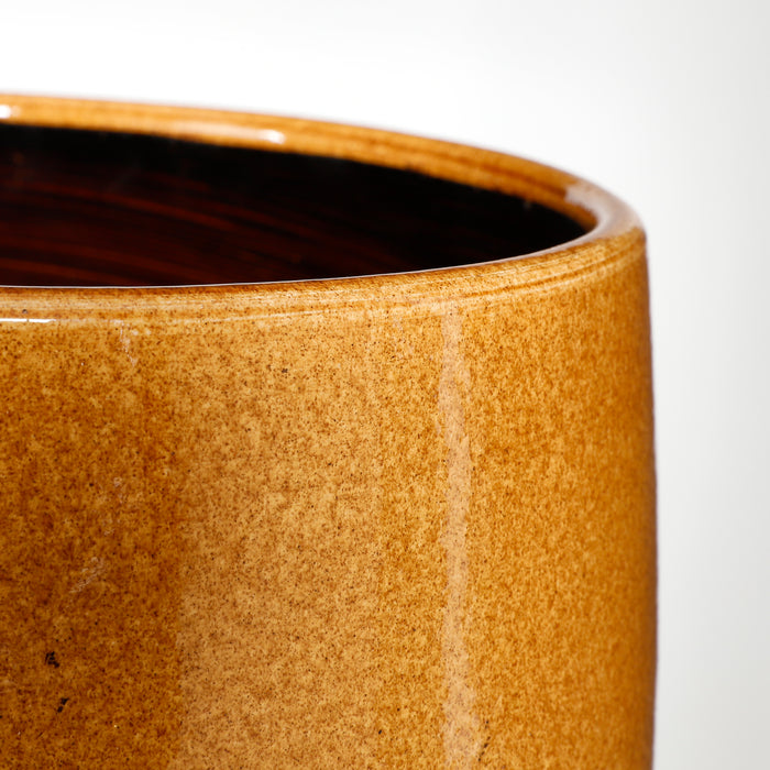 8176190f-4dd7-4599-9b65-499cbfb65501-afbeelding3.jpg (7451285) 