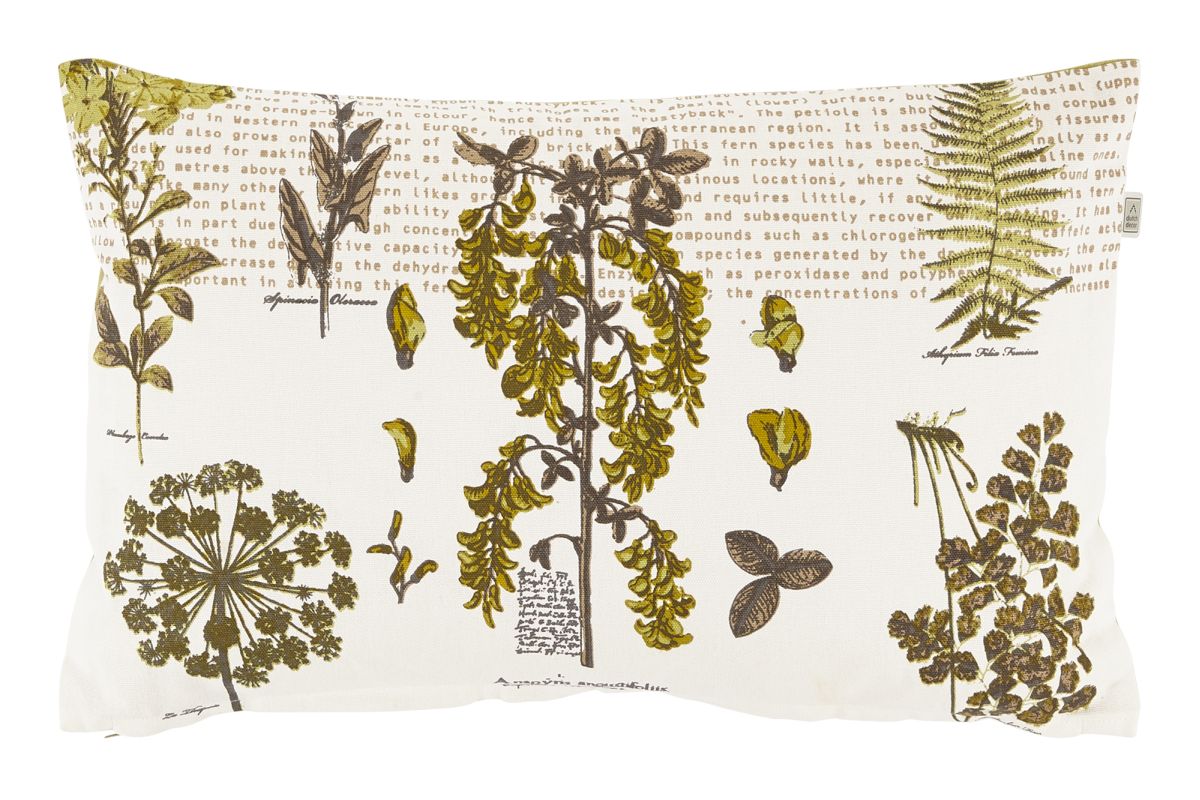 aac34681-ecdb-4bd0-9e0c-12f8ad18ffc3-vrijstaandbeeld.jpg (7458198) 