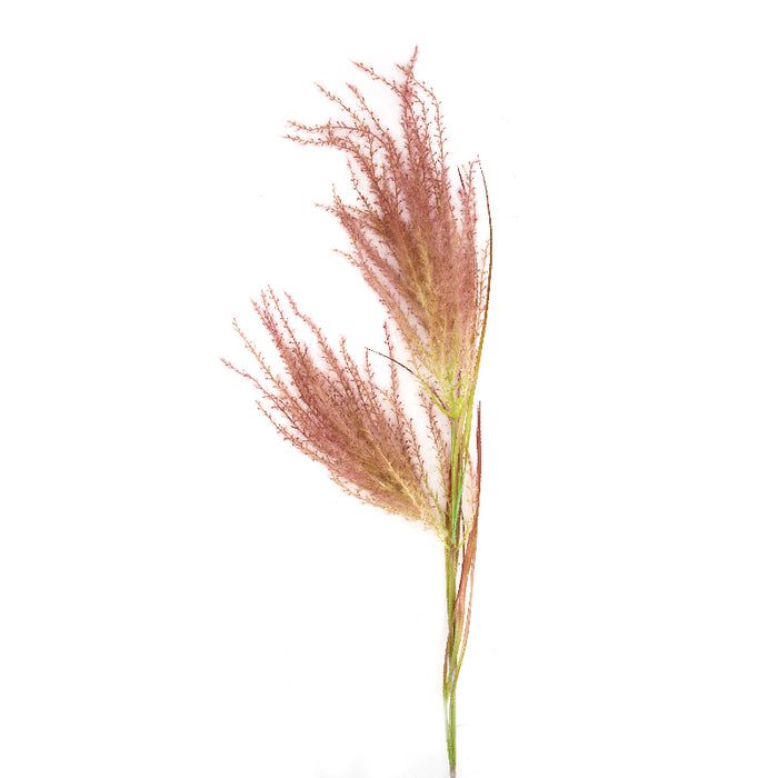 Cozy Ibiza - Pampas grass kunsttak 2 stuks purple natural