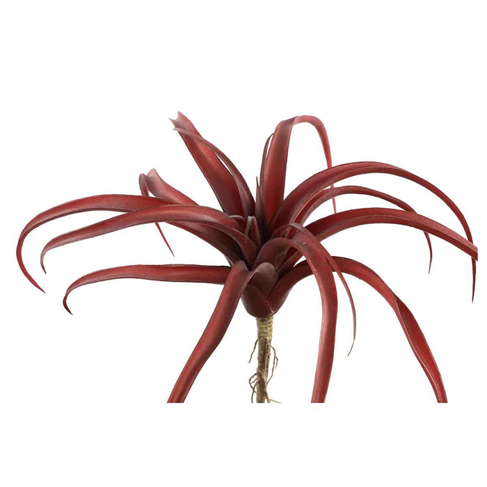 PTMD Succulent Tillandsia Pluk Kunstplant - 9 x 30 x 23 cm - Rood