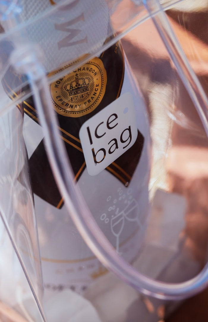 IceBag Wijnkoeler Transparant Design Collection - 11x11x25,5cm -
