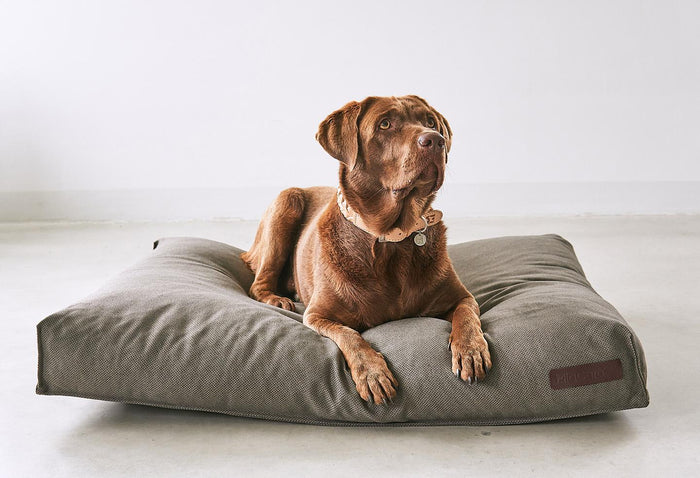 6c6b17ed-4b57-4d25-bf4f-897ae462197f-sfeerbeeld.jpg (7475309) 