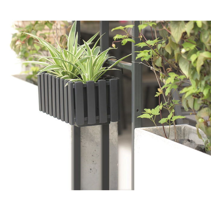 Prosperplast Plantenbak - kunststof - 38 cm - grijs