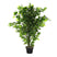 Items Kunstplant Ficus in bloempot - Groen - 50 x 90 cm