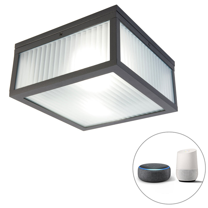 QAZQA Smart buiten plafondlamp zwart met ribbel glas incl. Wifi A60 -