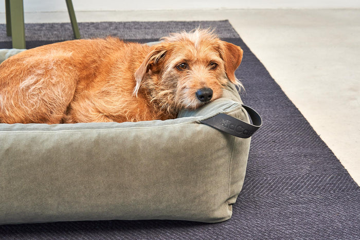 d1ea6f17-53ce-400f-9358-6e1c2bb24650-afbeelding5.jpg (7485148) 