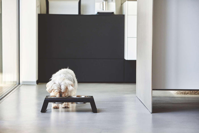 Desco hondenvoerbak small walnoot