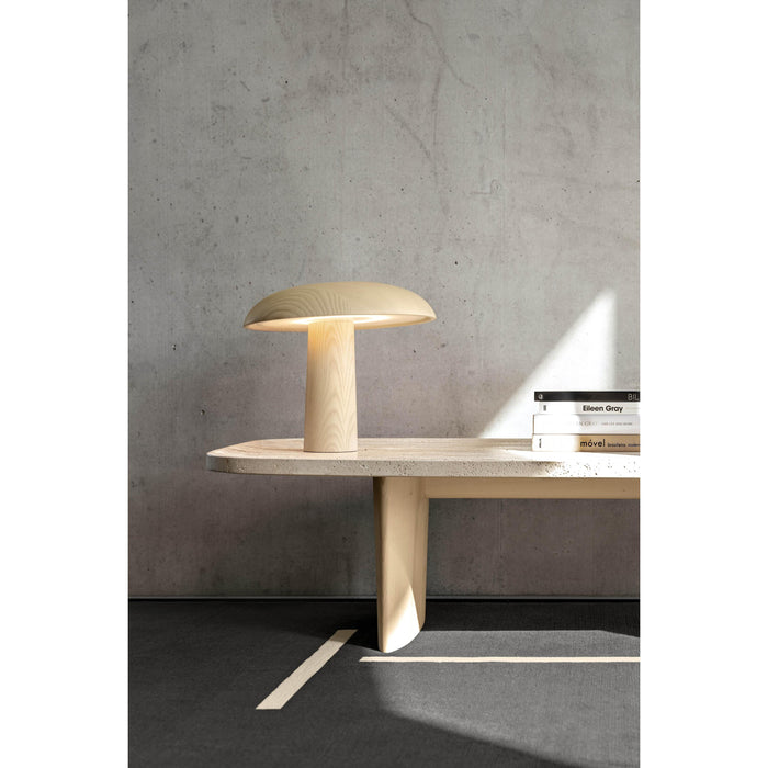 ClassiCon Monolith vloerkleed 200x300