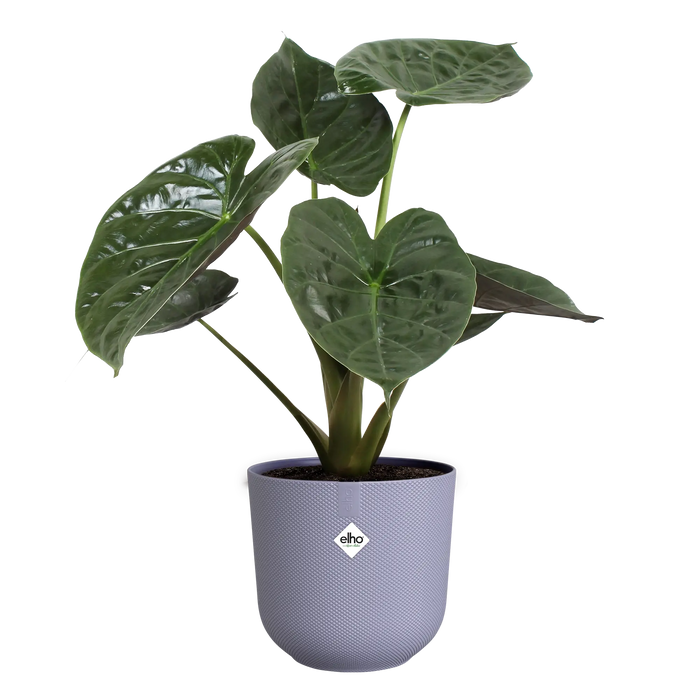 321613-x03-202310181322-C.png (7505981) 