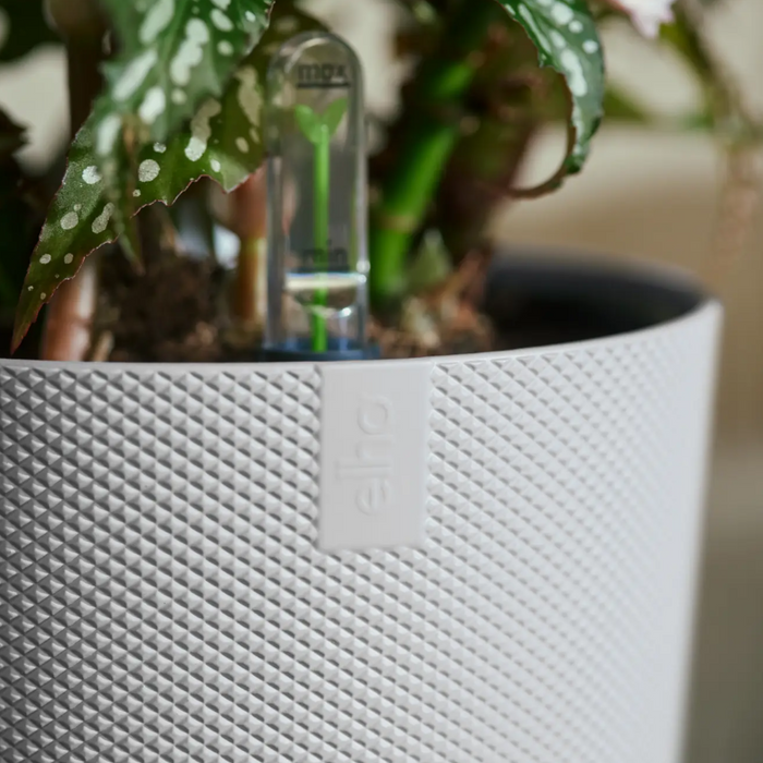 321616-x05-202310181322-A.png (7506013) 