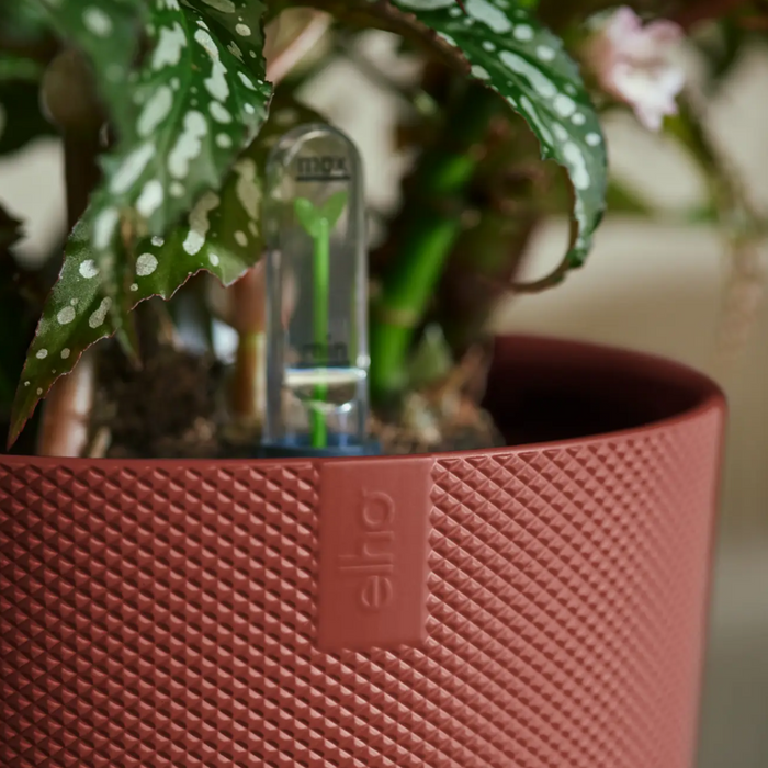 321619-x04-202310181322-A.png (7506041) 