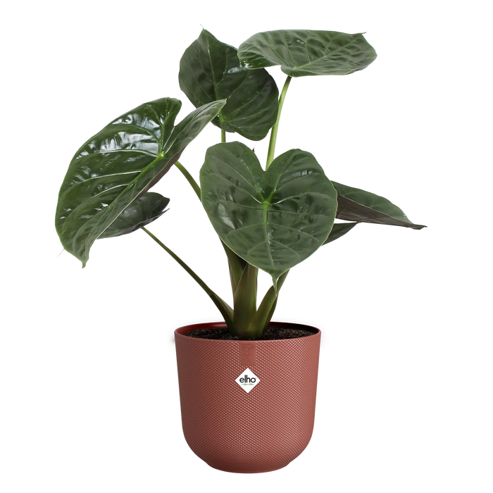 321620-x03-202310181321-C.png (7506048) 