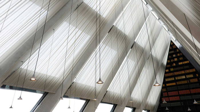 de5f56e5-eb94-4194-8f43-56888525a1b8-afbeelding7.jpg (7509595) 