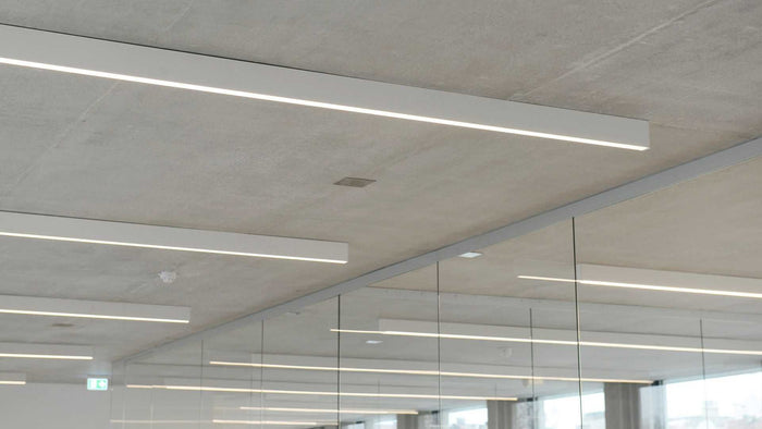 de5f56e5-eb94-4194-8f43-56888525a1b8-afbeelding9.jpg (7509601) 