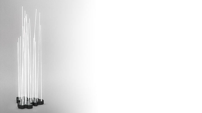 80b68ca1-1d21-4614-8054-5da098234f74-afbeelding4.jpg (7525099) 