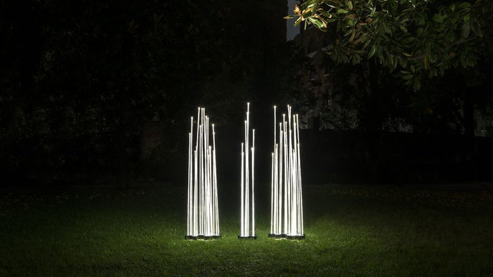 80b68ca1-1d21-4614-8054-5da098234f74-afbeelding5.jpg (7525101) 