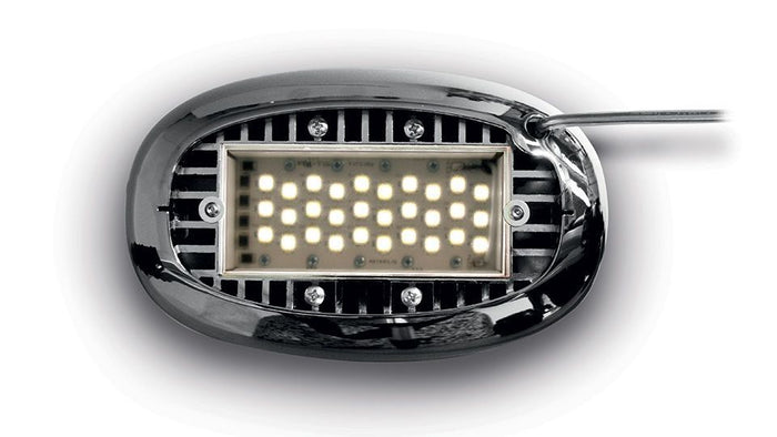 c09f3adf-a38c-4d58-ad07-4b3947a4aa47-afbeelding4.jpg (7530664) 