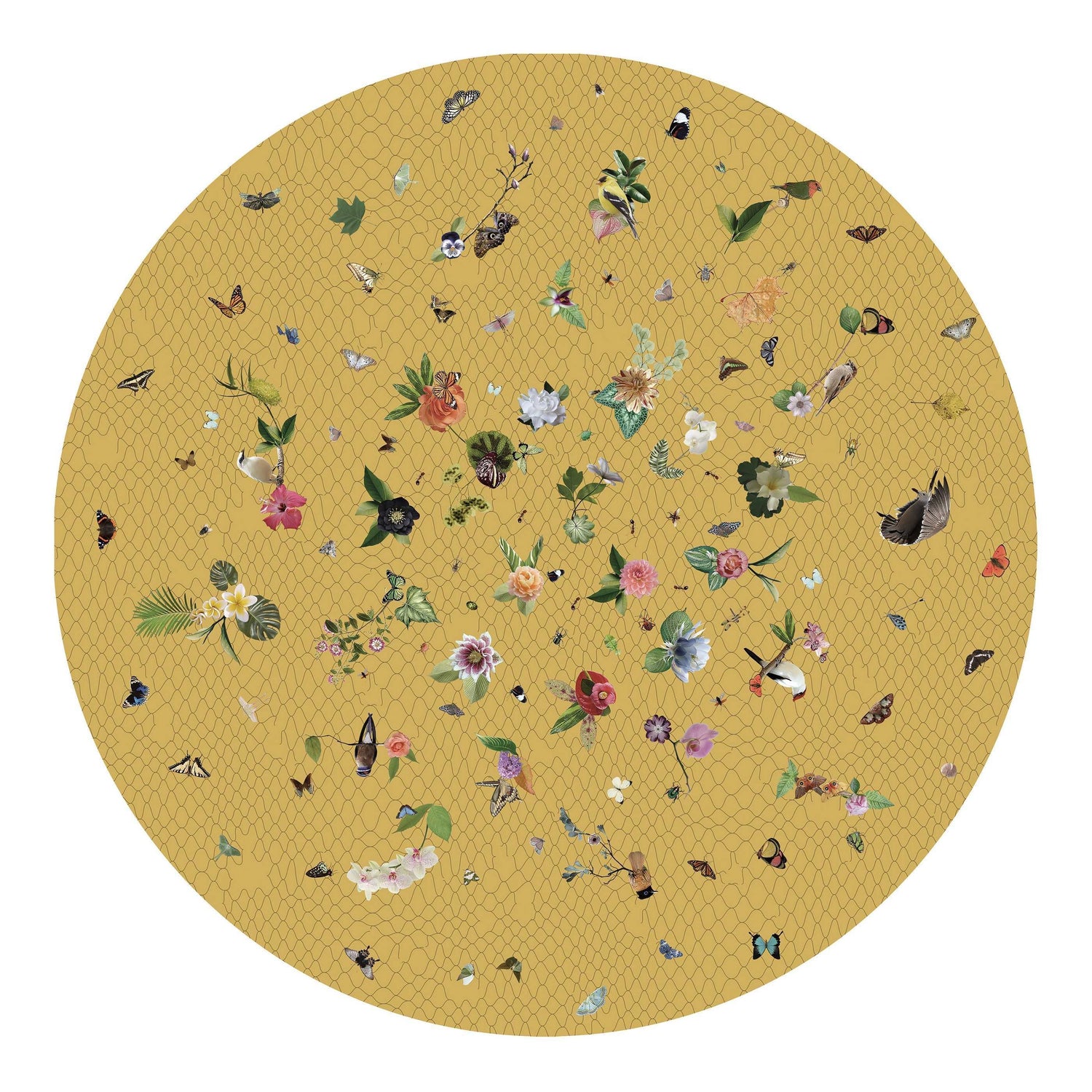 Moooi Carpets Garden of Eden Round Netting vloerkleed 250 wol geel