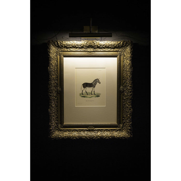 Moooi Carpets Aristo Quagga vloerkleed 200x300