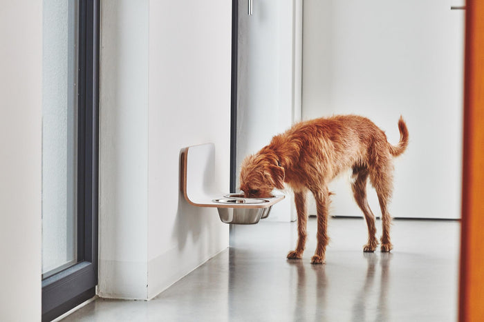 MiaCara Arco hondenvoerbak wand small|medium grijs