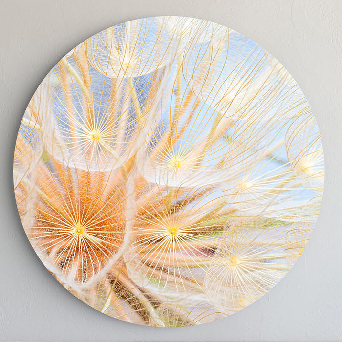 564a4e6d-68ec-4a3f-81ad-9a546ed906ea-afbeelding10.jpg (7553423) 