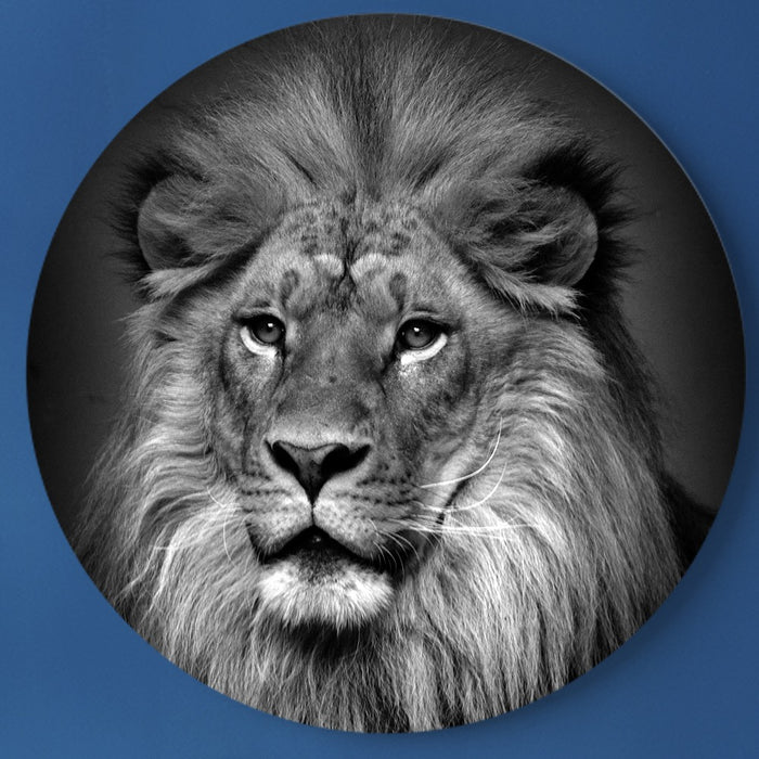 54a8384a-157d-4e8e-a1e4-4bca54ccdf19-afbeelding10.jpg (7553442) 