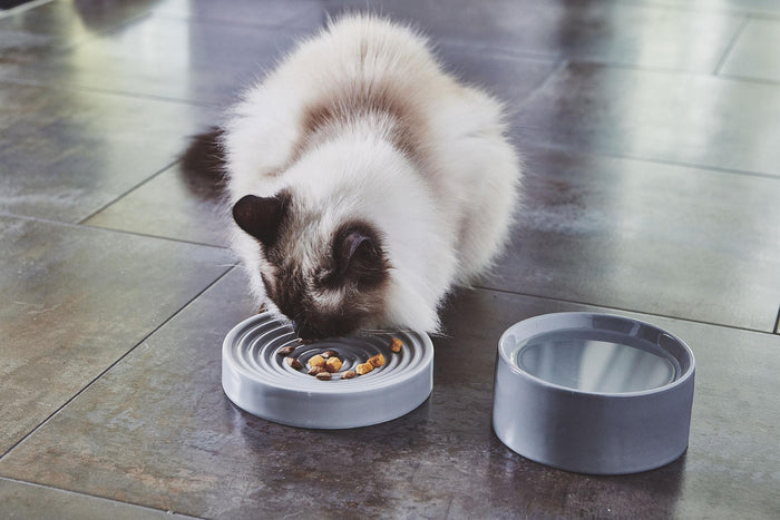 Piatto kattenvoerbak Ø16 concrete