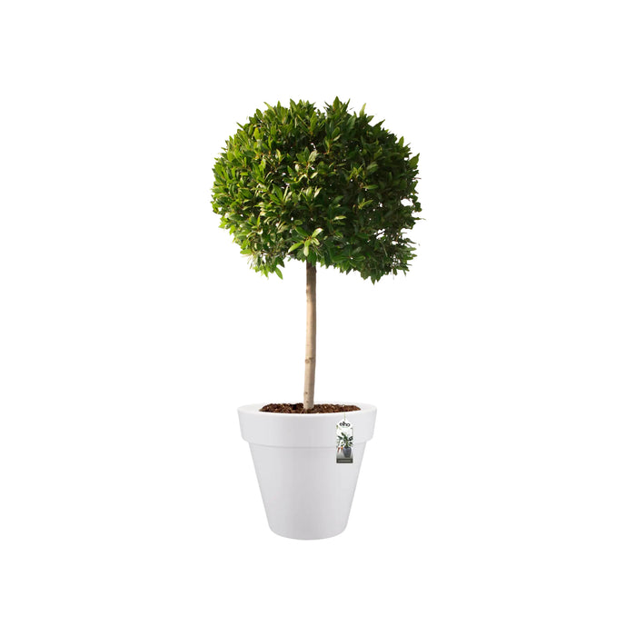 Elho Pure Round Bloempot Ø 40 cm - Wit