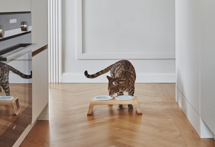 MiaCara Desco kattenvoerbak porselein wit