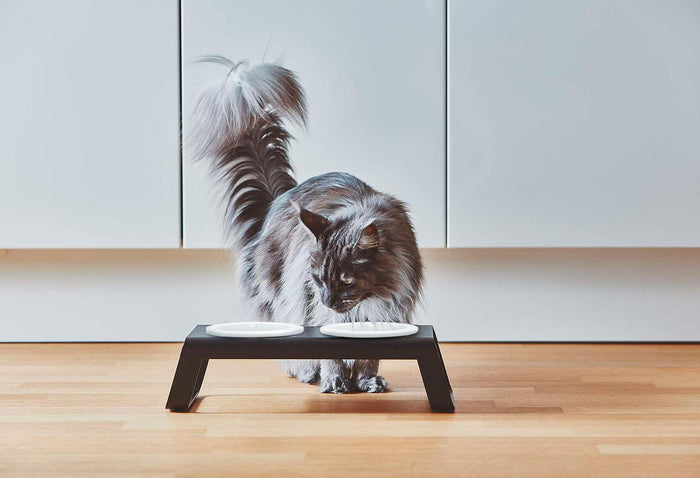 MiaCara Desco kattenvoerbak porselein essen zwart