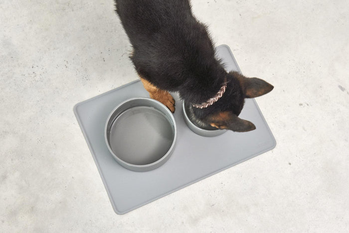 MiaCara Scodella hondenvoerbak small Cement