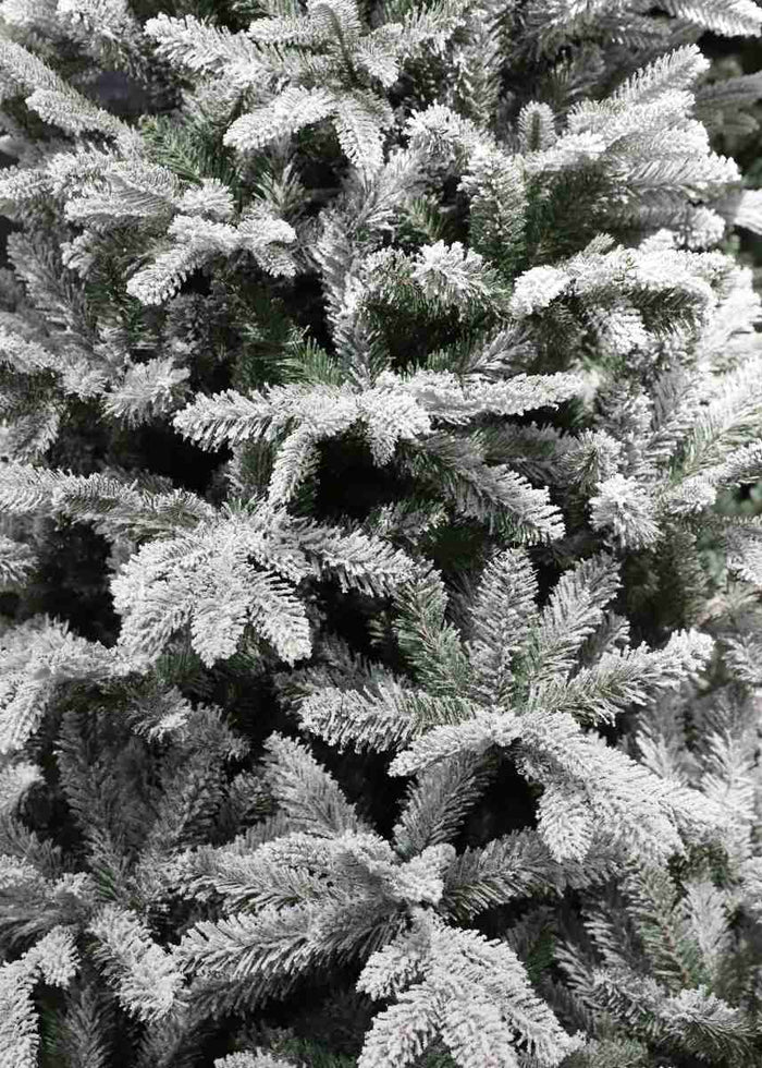 Black Box Trees Frasier Kunstkerstboom - 109x109x155 cm - PVC - Groen