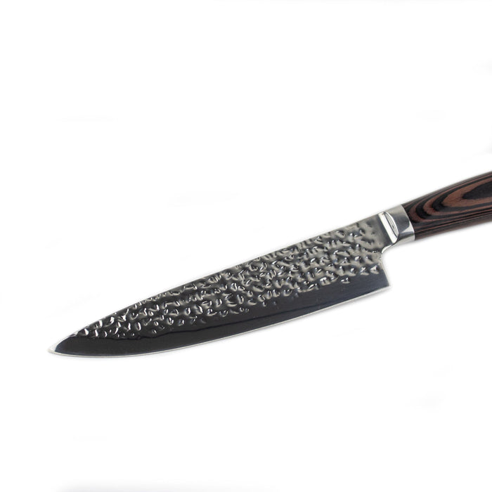 Shinrai Japan - Hammered RVS 6-delige Messenset