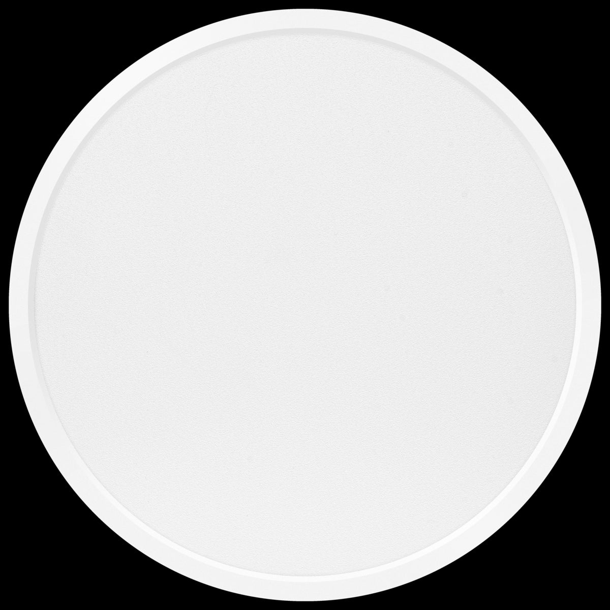 e8bfea75-5ef0-4505-919e-3084235f80dc-vrijstaandbeeld.jpg (7666961) 