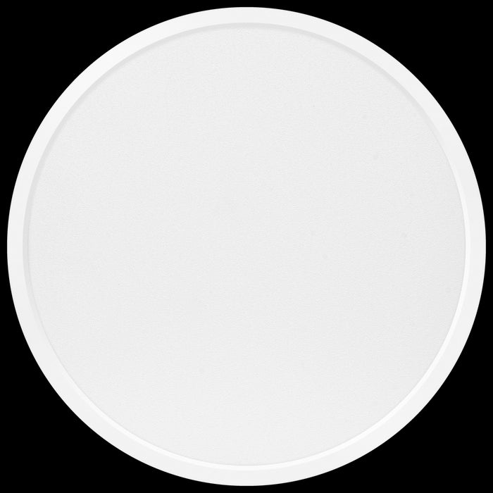 e8bfea75-5ef0-4505-919e-3084235f80dc-vrijstaandbeeld.jpg (7666961) 