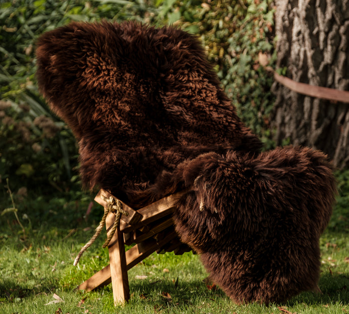 7c587079-852f-4f85-9062-349615361a75-afbeelding4.jpg (7680209) 