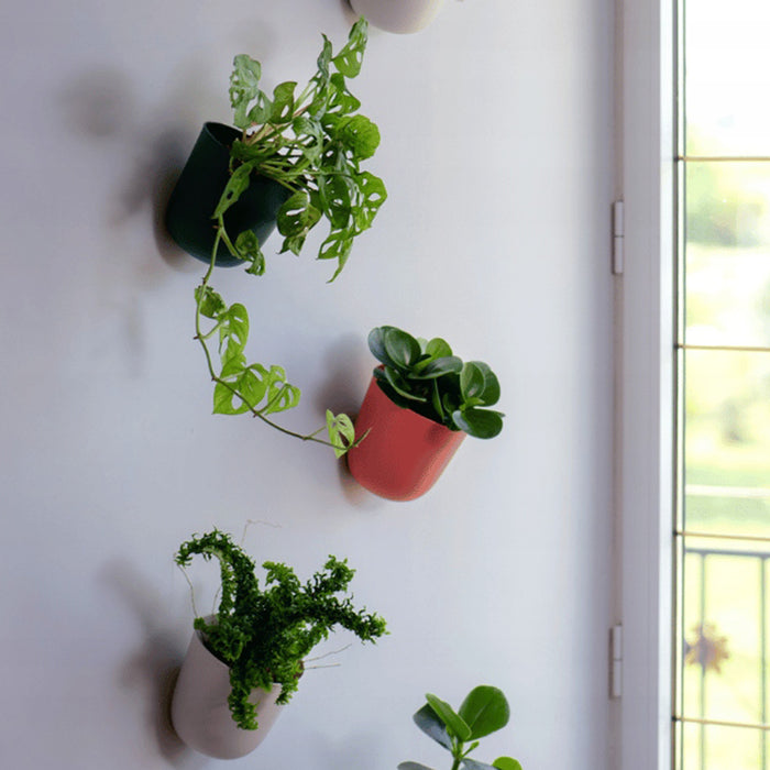 QUVIO Wand bloempot- Kunststof - Lichtblauw