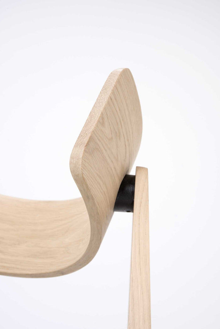 41112f49-00f7-4eed-afca-90066165519e-afbeelding6.jpg (7744528) 