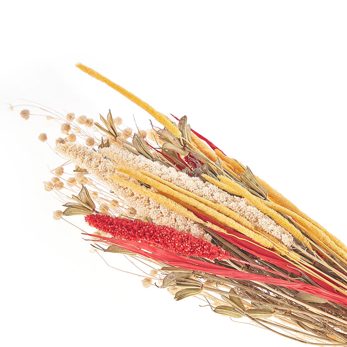 679e42ff-223f-4869-86eb-3944807ef56b-afbeelding4.jpg (7794320) 