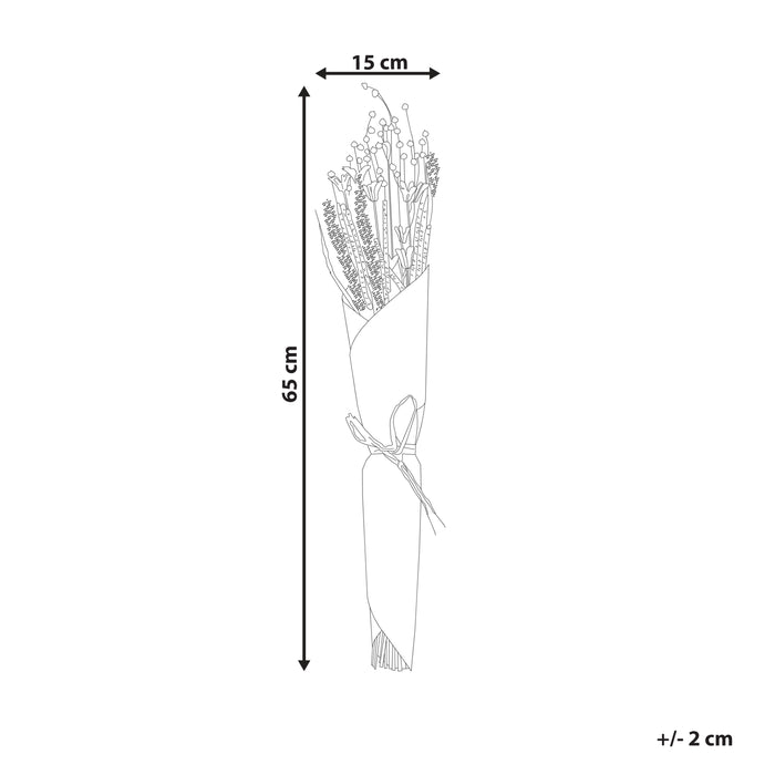 679e42ff-223f-4869-86eb-3944807ef56b-afbeelding11.jpg (7794322) 