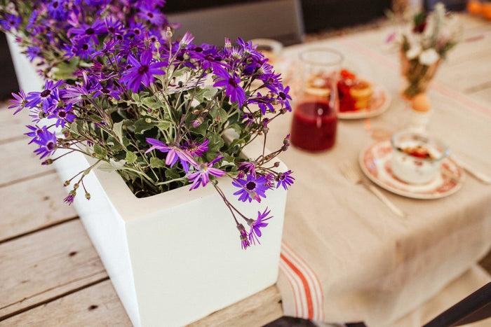 Capi lux Bak rechthoek laag II zwart