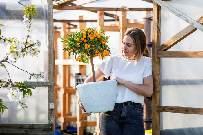 Capi Europe Bloempot bol Arc Granite - 60x48 - Wit