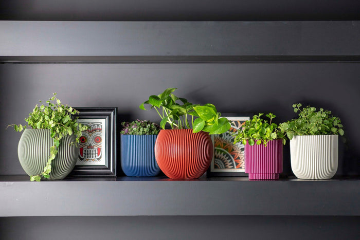 85034021-f66c-4491-8769-c1b74d91cc69-afbeelding5.jpg (7804538) 