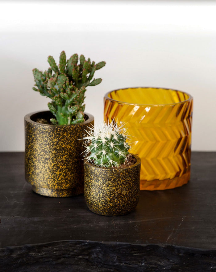 e94298cc-2e16-4622-a3c2-cf5df2f80035-afbeelding3.jpg (7804668) 