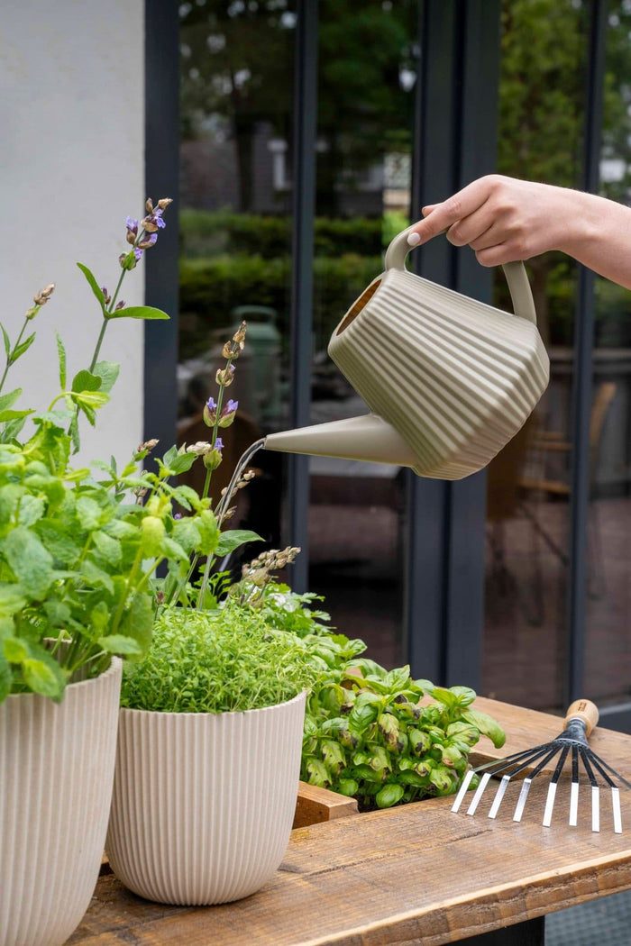 d01c0200-2c25-4401-82da-65507be19547-afbeelding5.jpg (7804810) 