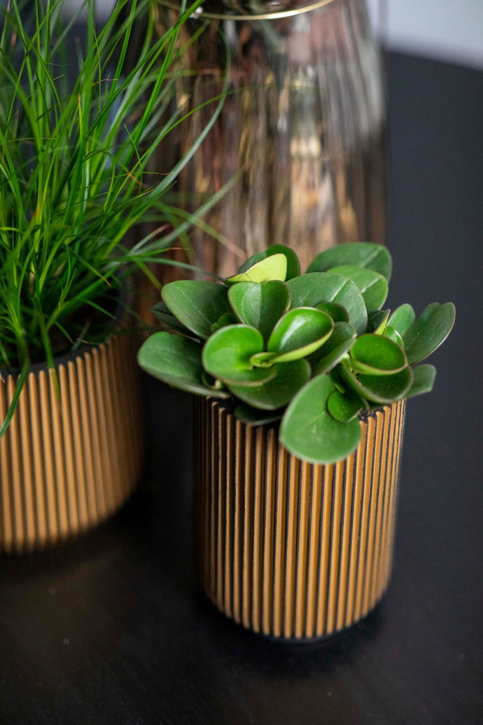 dfd748cd-8cef-440a-b6e3-b9e6e3b472b1-afbeelding4.jpg (7805338) 