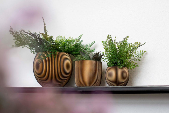 404fd25d-96c3-4e99-b367-0fd0586c15d1-afbeelding6.jpg (7805346) 