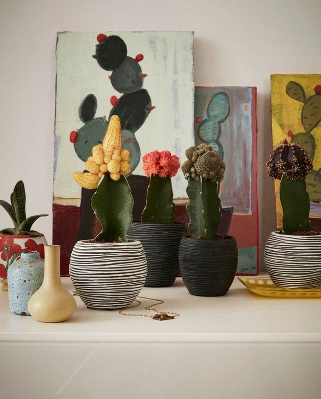 5069c3c5-a925-4fde-9326-0da3d7a1b4e4-afbeelding6.jpg (7805423) 