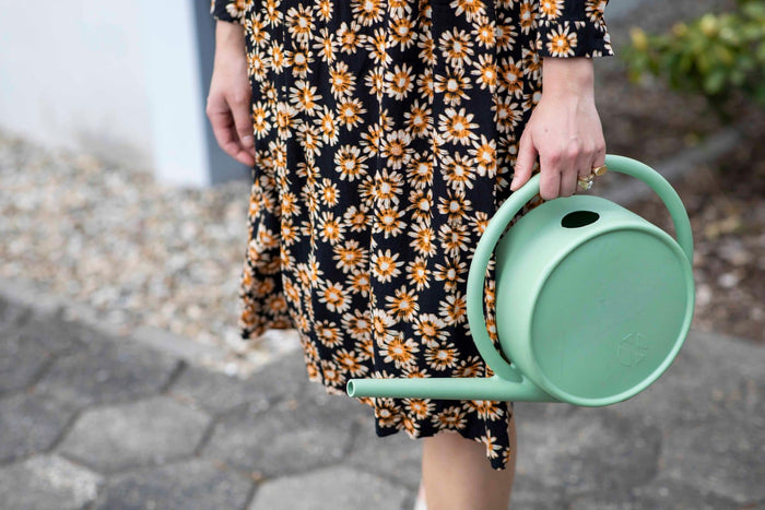 Xala - Gieter Matcha 4L - Oud groen