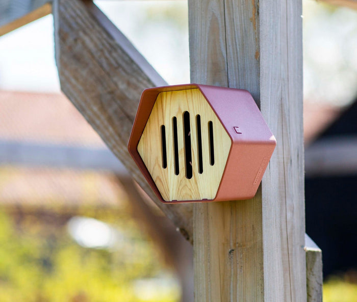 Capi Europe Vlinderhuisje Hive - 19x23x20 - Antraciet
